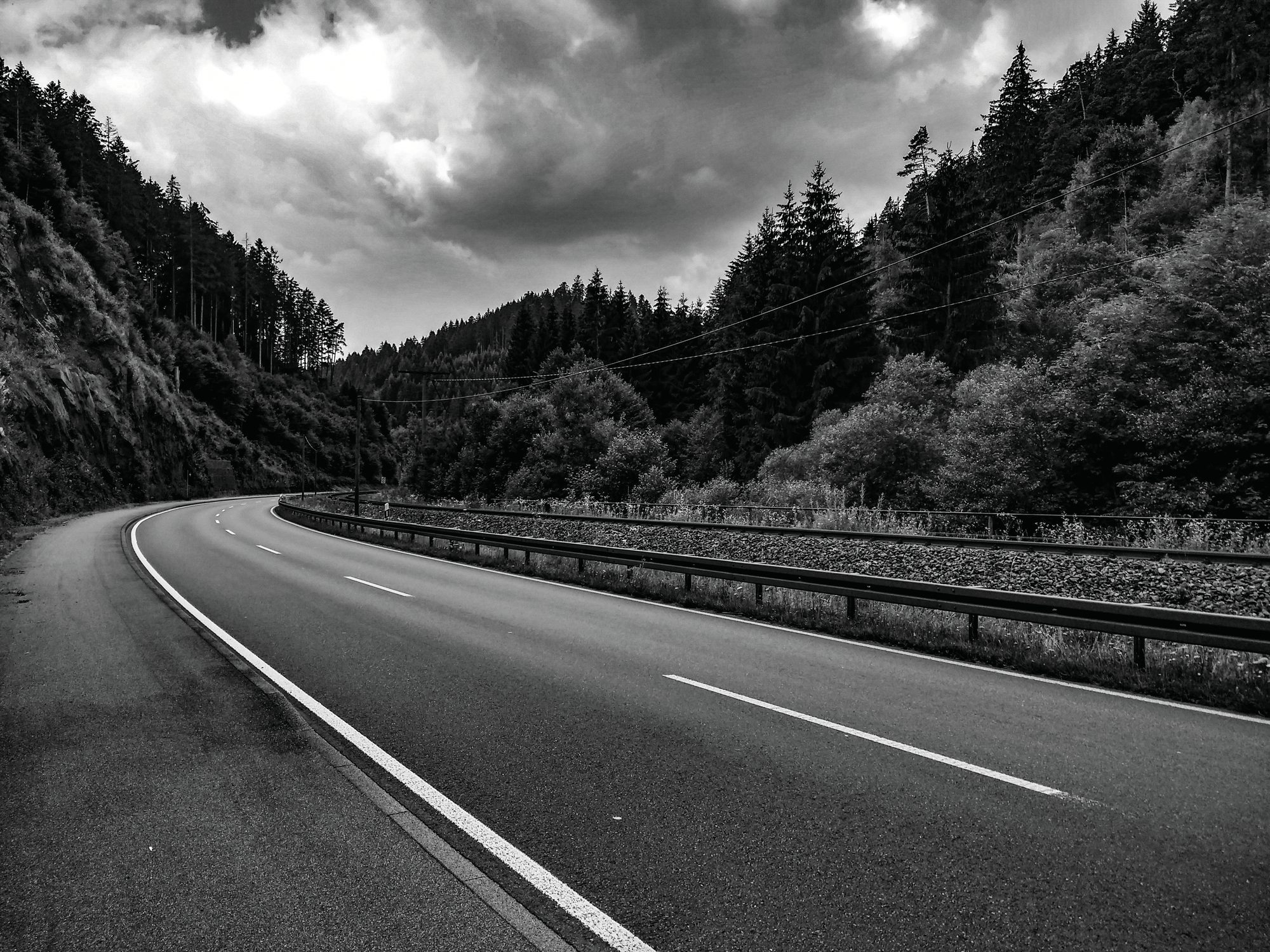 An empty road through a forest, in black and white